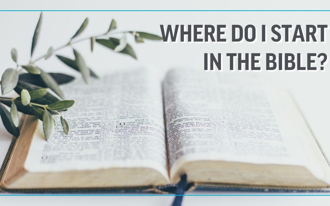 Where Do I Start In the Bible?